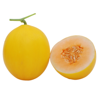 Sanvi Muskmelon From  Known You Seed (India) (1)-KYI